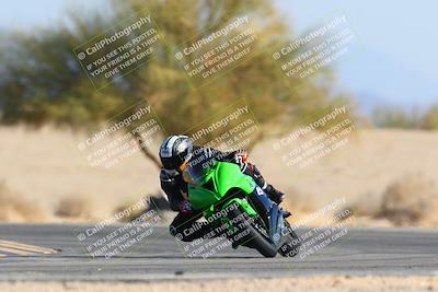 media/Jan-14-2024-SoCal Trackdays (Sun) [[2e55ec21a6]]/Turn 4 Tree of Life (155pm)/